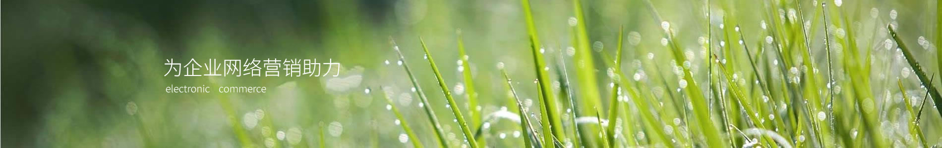 кϴҵ޹˾